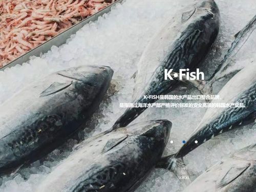 韓國水產協會上海貿易支援中心舉辦K-Seafood線上采購洽談會，助力國內貿易代理合作